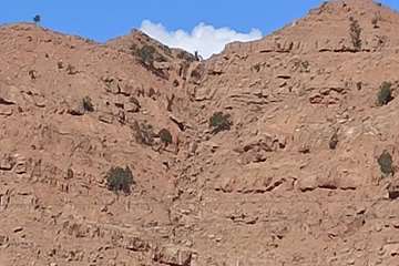 فریدون جعفریان 
روابط عمومی دانشگاه علوم پزشکی دزفول
